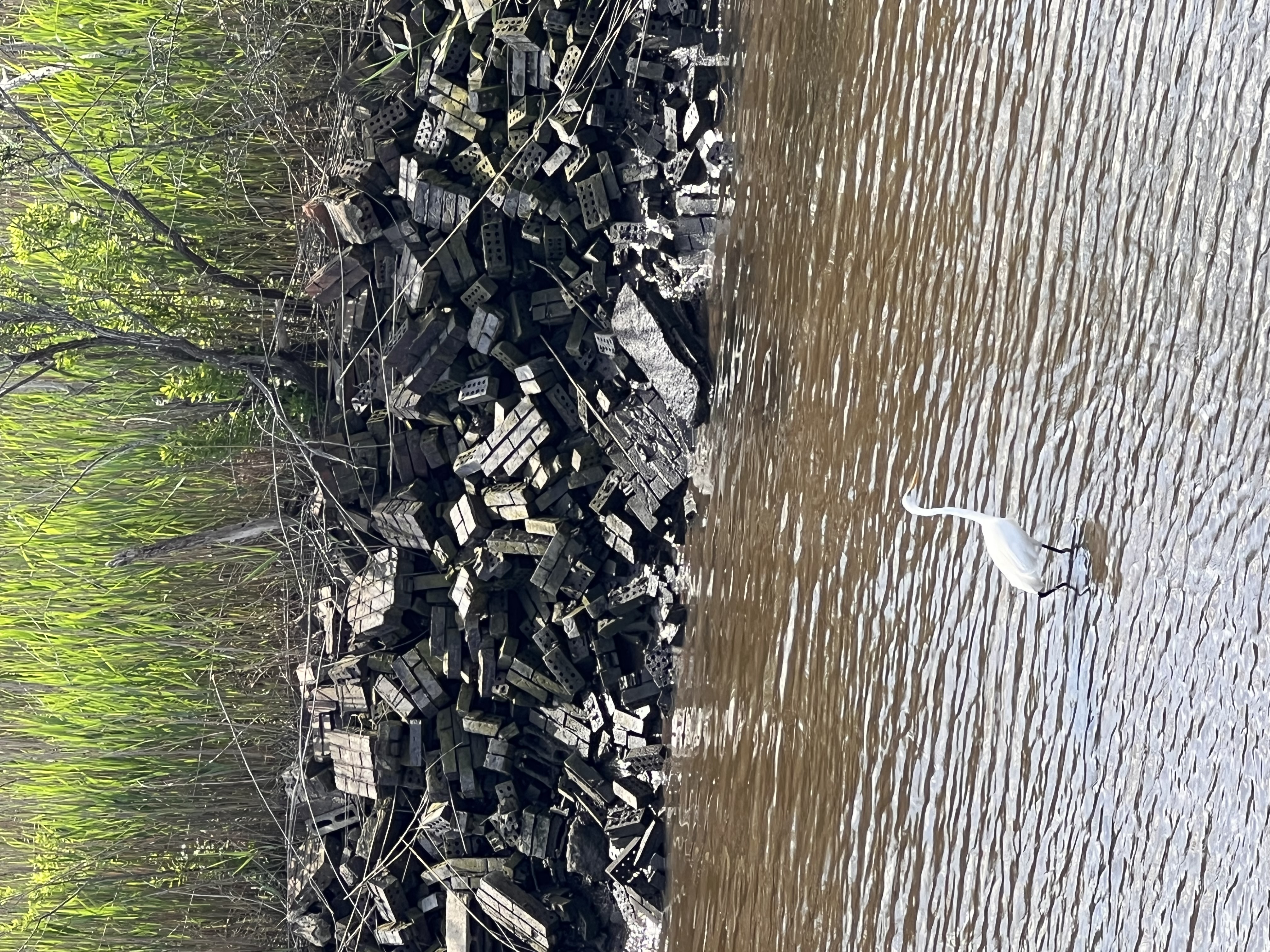 ./2023/05 - Toni Adventures/IMG_2803.JPG